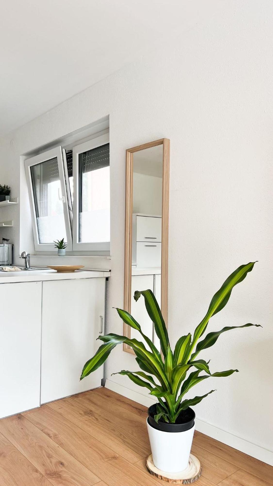 2 Zkb Apartment In Mannheim Kueche - Parken - Grosser Tv Exteriör bild